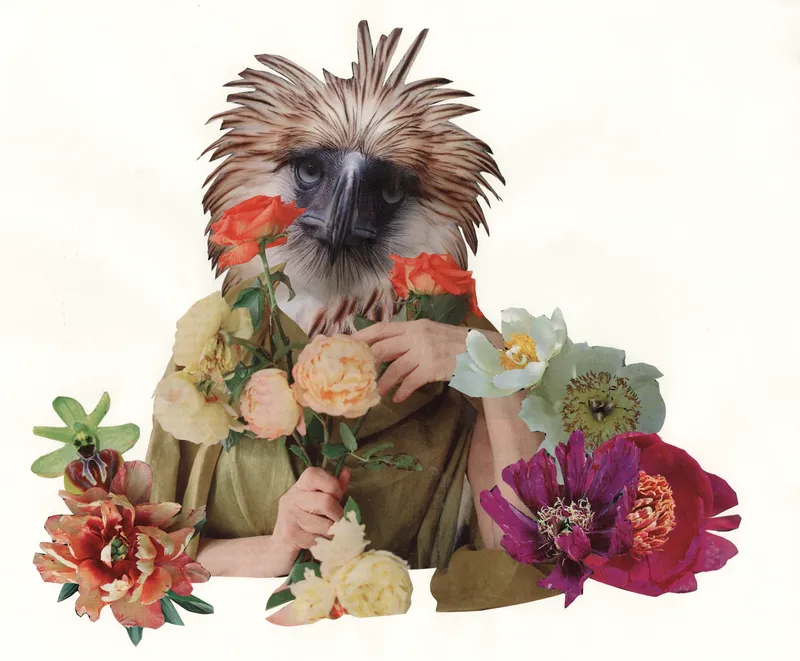 Hólmfríður María Bjarnardóttir