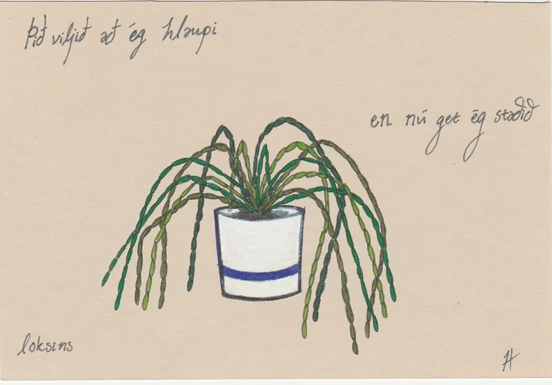 Hólmfríður María Bjarnardóttir — 7